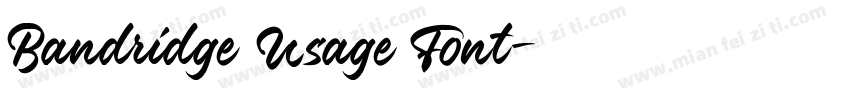 Bandridge Usage Font字体转换